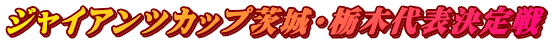 ジャイアンツカップ茨城・栃木代表決定戦